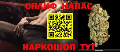 МДПВ Пушкино