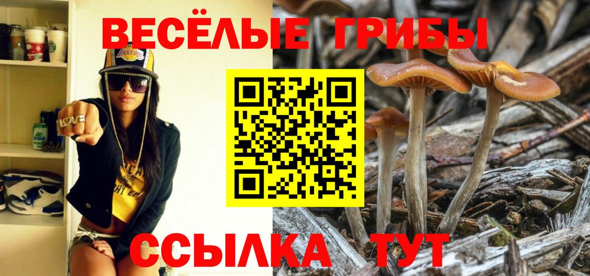 Галлюциногенные грибы ЛСД  где купить наркоту  Анжеро-Судженск  Вход с VPN 